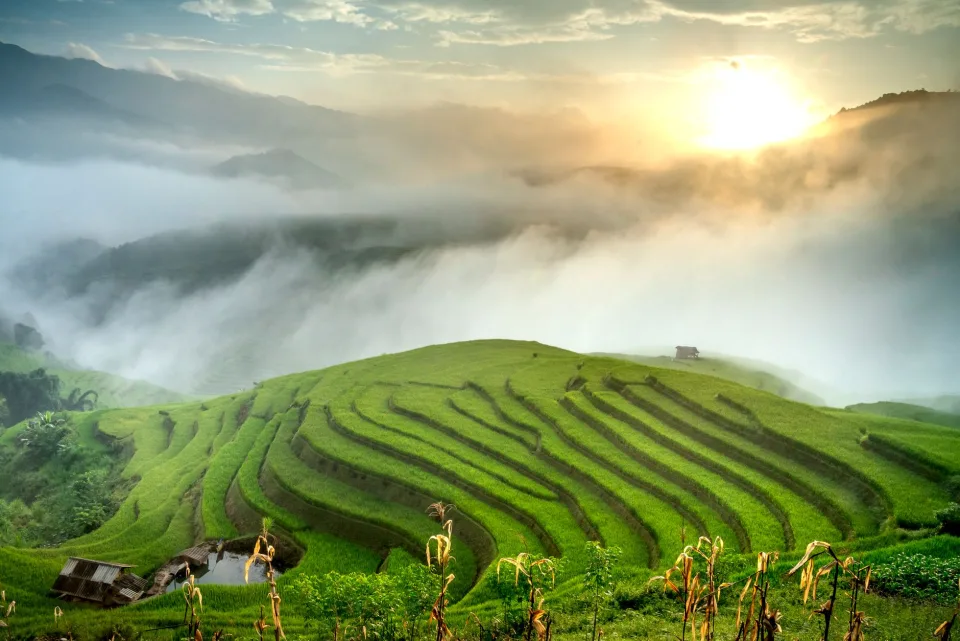 Kho gạo của Tăng Thị Lệ